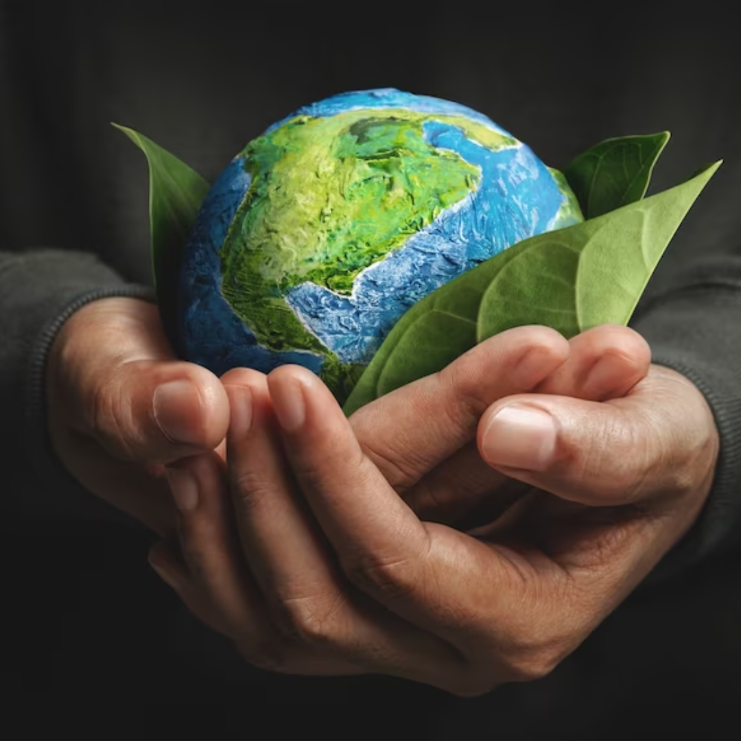 Ambiente interno em container